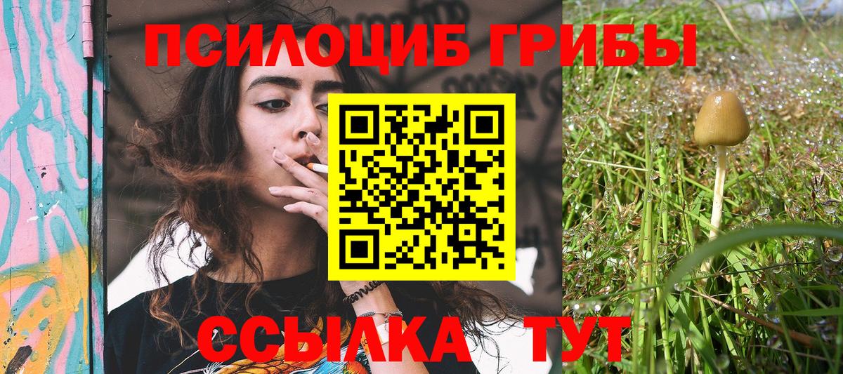 Галлюциногенные грибы MAGIC MUSHROOMS Иркутск