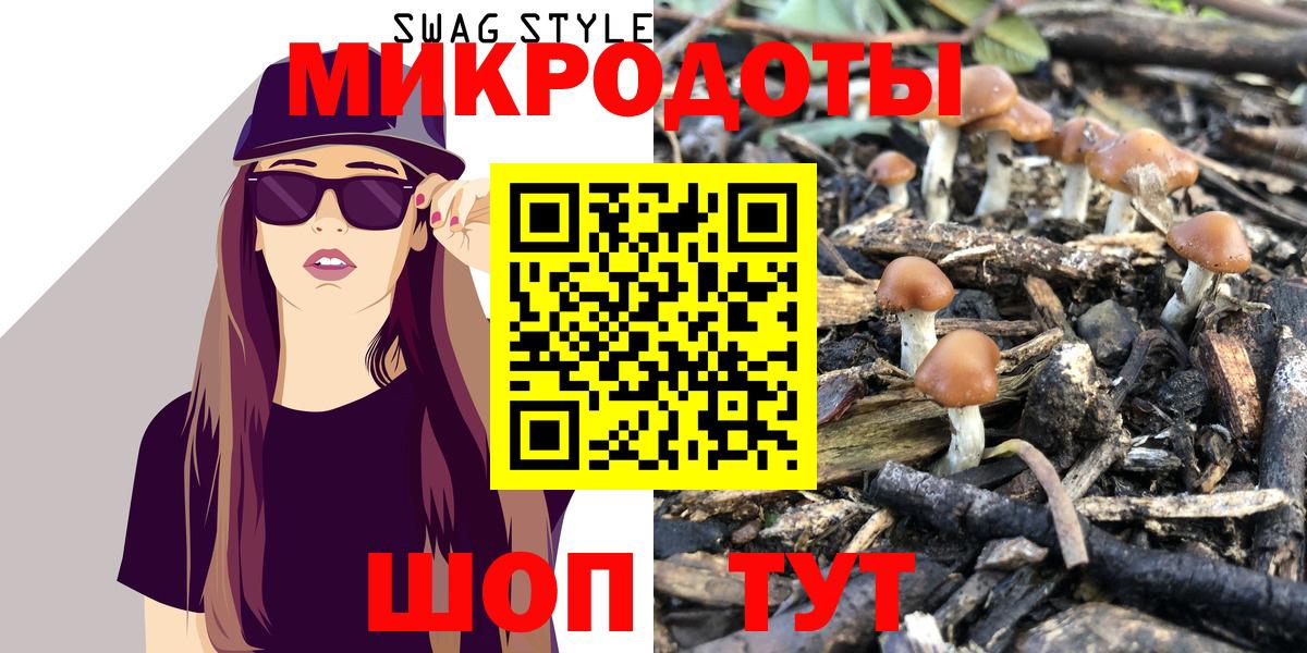 Иркутск  Псилоцибиновые грибы Psilocybe  Вход с VPN  Галлюциногенные грибы Psilocybe 